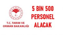 5 Bin 500 Personel Alınacak